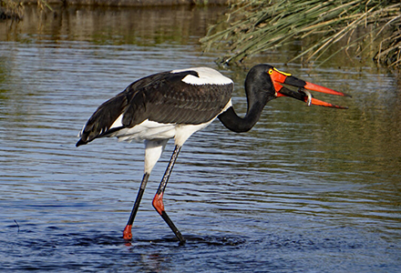 A nature photograph by Community Education student Janet Ford.